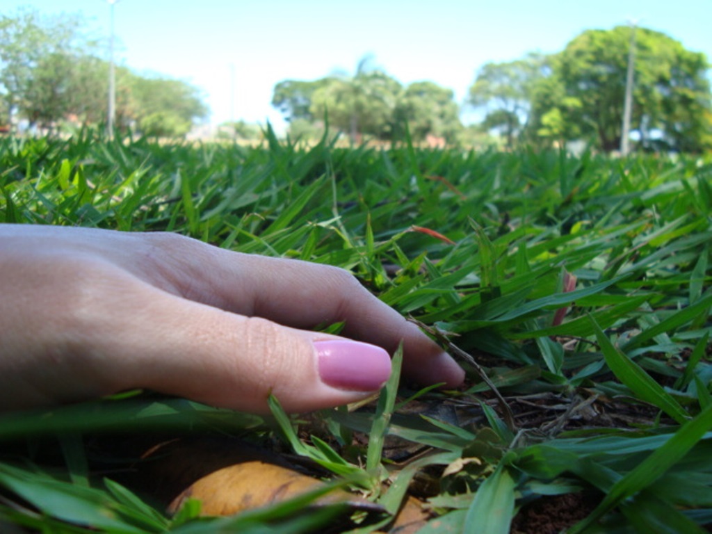 NOVA ANDRADINA: Conexão - Geisa Alice de Lima